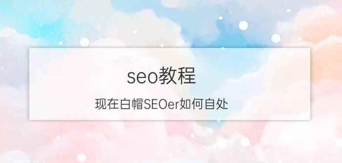 seo教程 现在白帽SEOer如何自处？